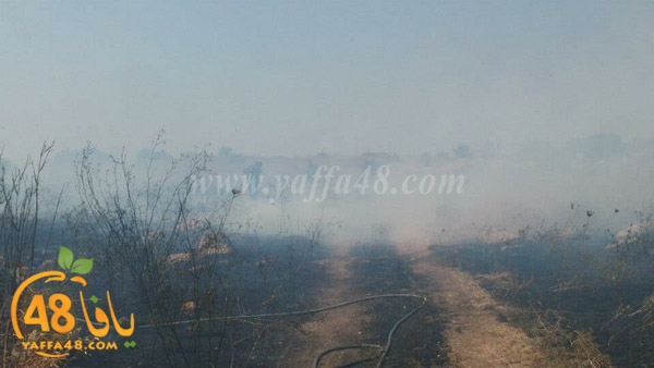 fire a7rsaah (5).jpg